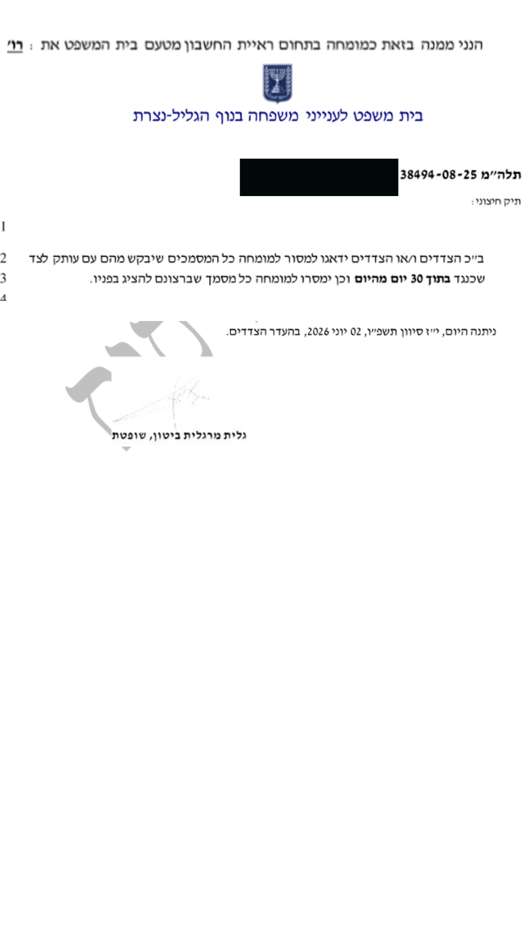 בחינה מעמיקה שלנו בתדפיסי חשבון הבנק העלתה חשד להברחת כספים בין בני זוג. בית המשפט השתכנע למנות מומחה שיבחן את התנועות בחשבונות ואת הטענה להברחת נכסים.